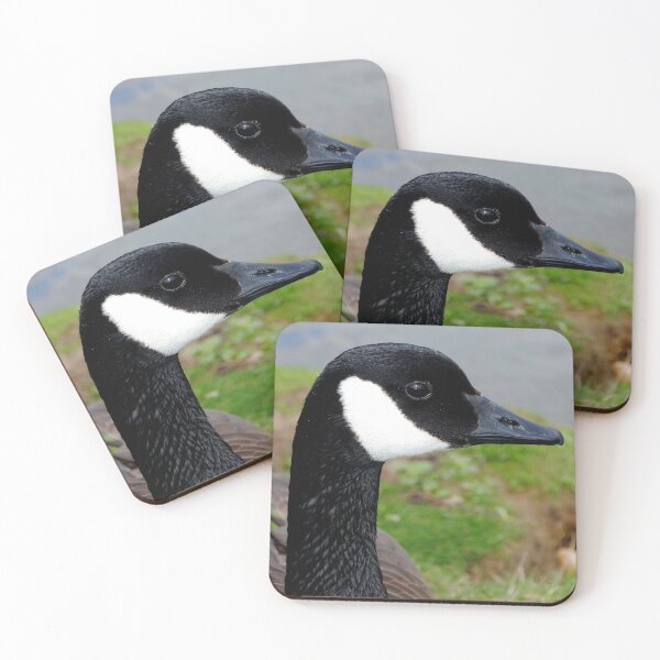 Item preview, Canada Goose Canadian Geese Wild Bird designed and sold by AndyEvansPhotos.