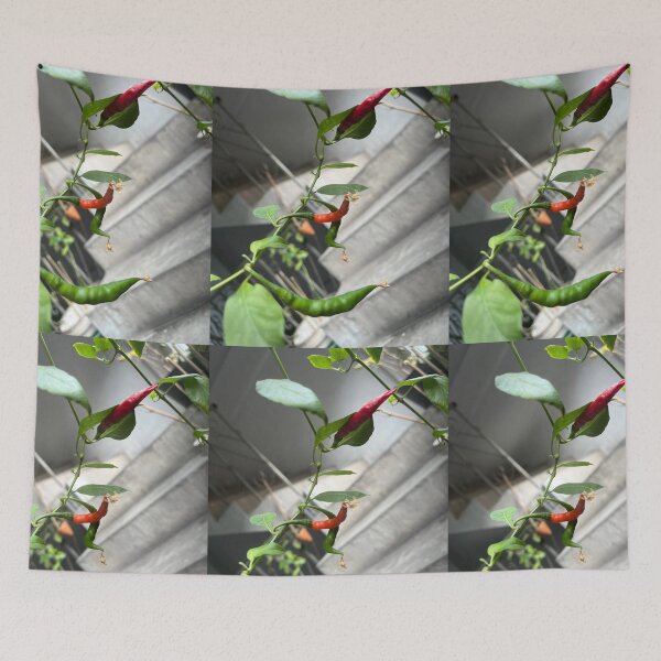 Item preview, Red green hot chilli tree designed and sold by Bird4771.