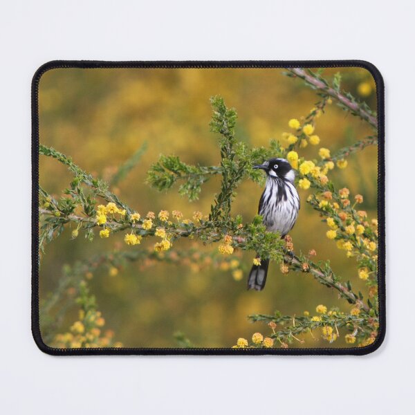 Item preview, New Holland Honeyeater designed and sold by Barb Leopold.