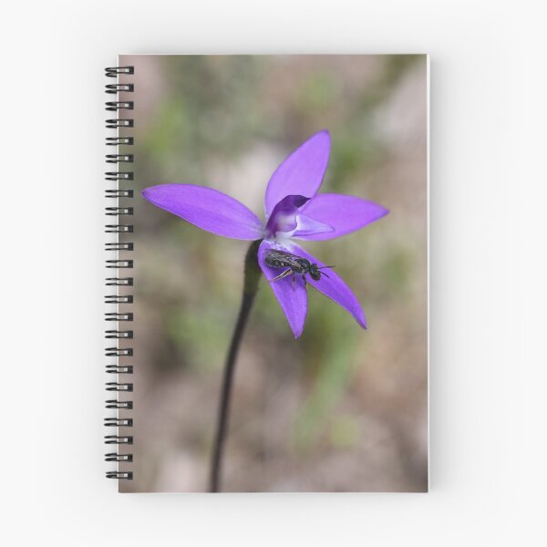 Item preview, Purple Cockatoo Orchid with Native Bee designed and sold by Barb Leopold.