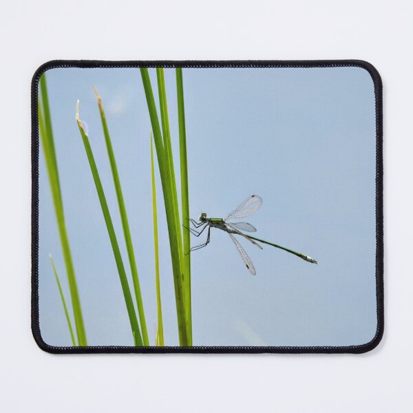 Item preview, Damselfly minimalism designed and sold by Jouko Lehto Photography.