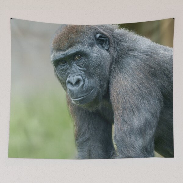Item preview, Ape Contemplation in Verdant Pastures designed and sold by rawshutterbug.