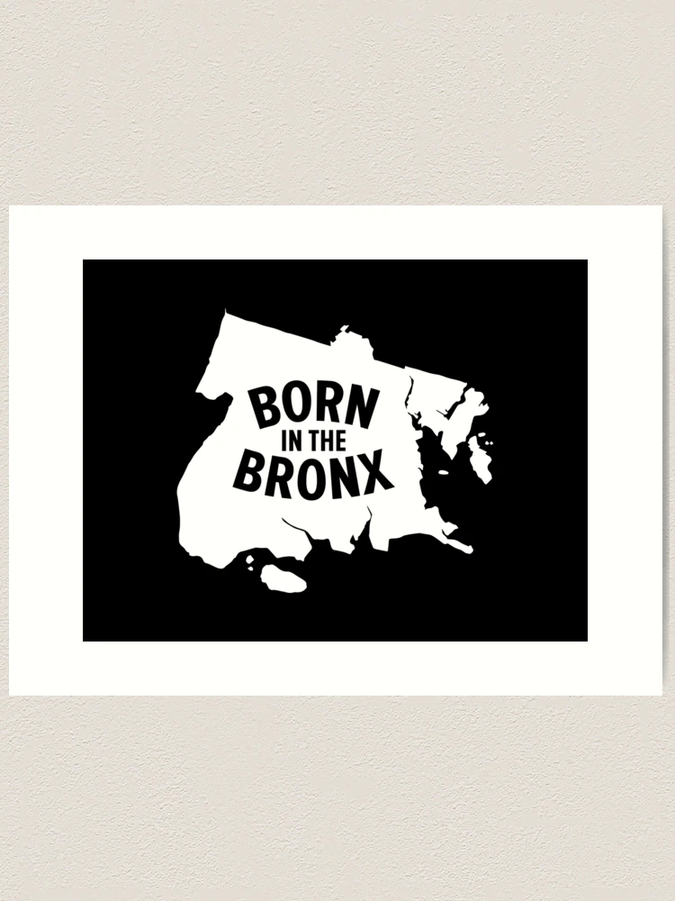 アート・デザイン・音楽 Born in the Bronx Born