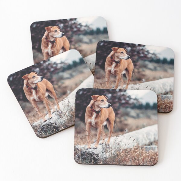 Item preview, DOGGY ON A LOGGY designed and sold by Cannanvisual7.