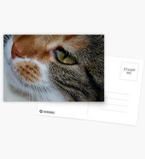 Lola Postcards