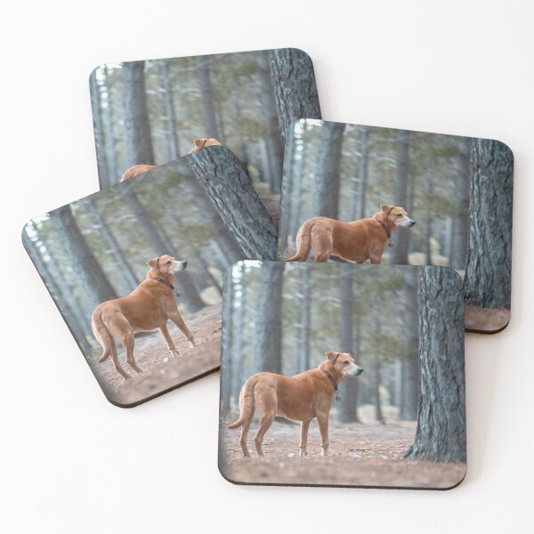 Item preview, Dog in a forest  designed and sold by Cannanvisual7.