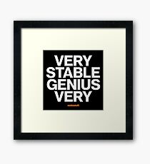 16229-05-BDK – Stable Genius – Very (White) Framed Print