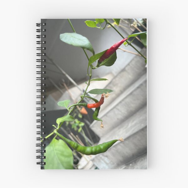 Item preview, Red green hot chilli tree designed and sold by Bird4771.