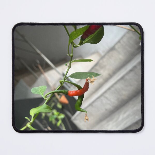 Item preview, Red green hot chilli tree designed and sold by Bird4771.