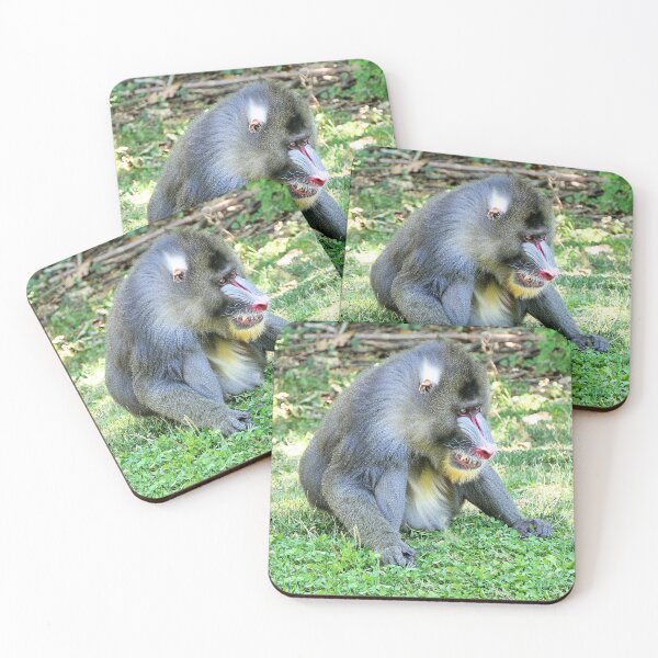Item preview, vr 3389 / finition 2023  1 - Singes " Les Mandrills " Okaio Créations Olavia-Olao designed and sold by o.okaïo.