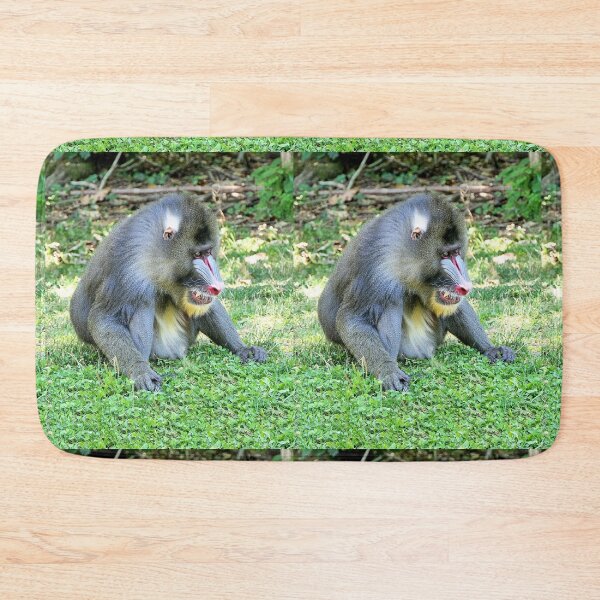 Item preview, vr 3389 / finition 2023  1 - Singes " Les Mandrills " Okaio Créations Olavia-Olao designed and sold by o.okaïo.