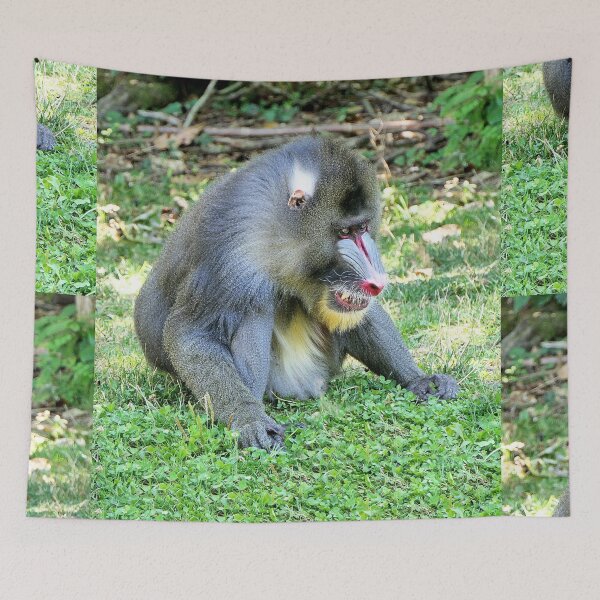 Item preview, vr 3389 / finition 2023  1 - Singes " Les Mandrills " Okaio Créations Olavia-Olao designed and sold by o.okaïo.