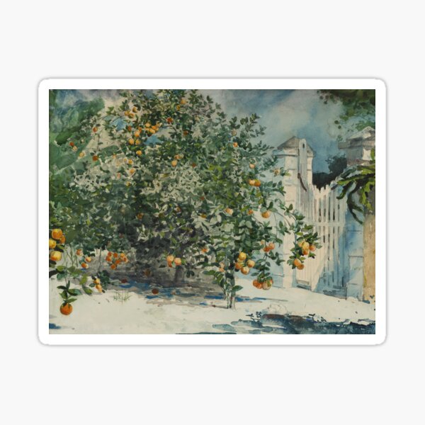 Vintage Orange Trees and Gate Watercolour | P441 Sticker