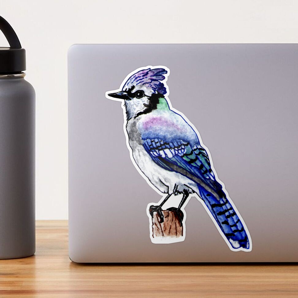 Premium AI Image  Baby Blue Jay Bird Sticker On Isolated