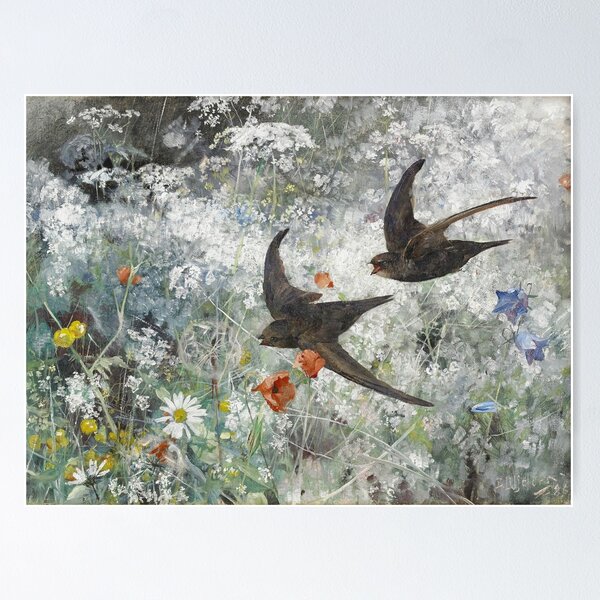 Vintage Common Swifts and Wildflowers | P442 Poster