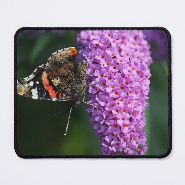 Item preview, Radiant Red Admiral designed and sold by ASTRID EWING.