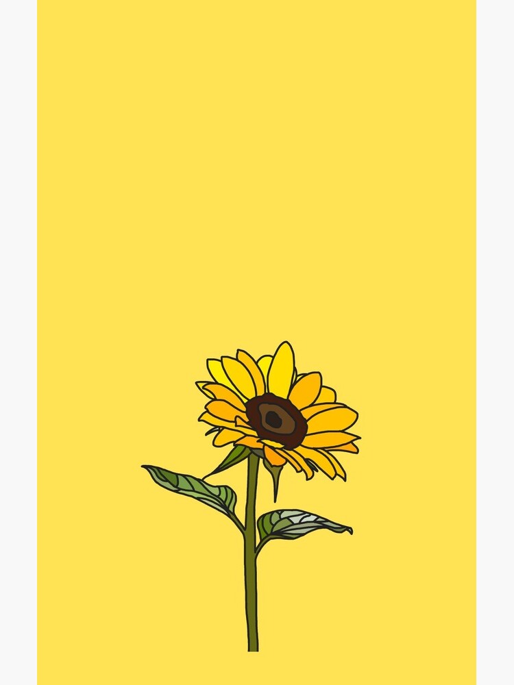 Aesthetic Sunflower by Rocket-To-Pluto