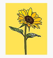 Aesthetic Sunflower Photographic Print