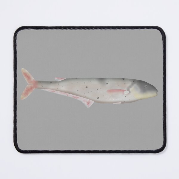 Item preview, Ngai designed and sold by fishfolkart.