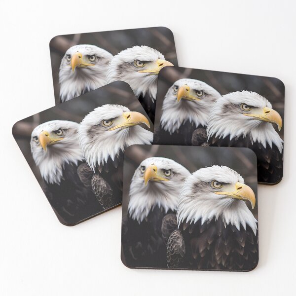 Item preview, Bald Eagles designed and sold by Kristylynn757.