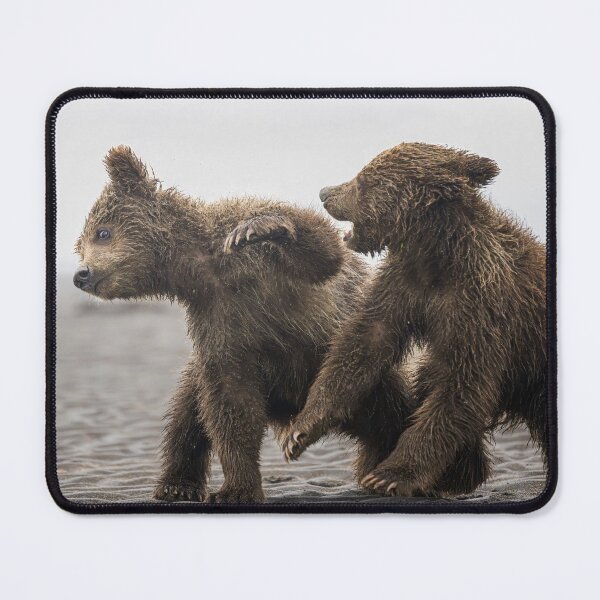 Item preview, Take That designed and sold by PhotoArt by Joan Carroll.