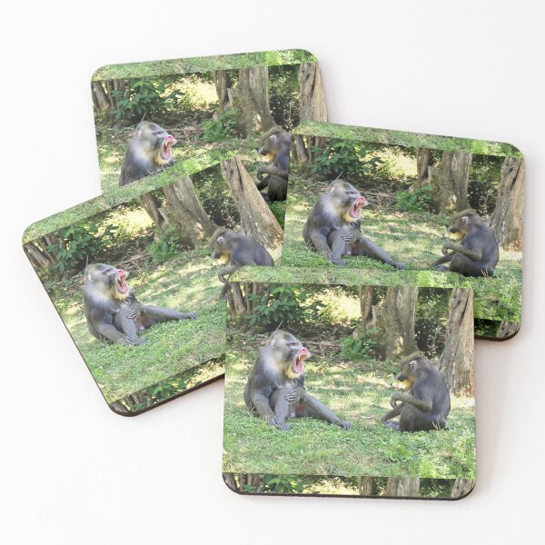 Item preview, vr 3390 / finition 2023  2 - Singes " Les Mandrills " Okaio Créations Olavia-Olao designed and sold by o.okaïo.