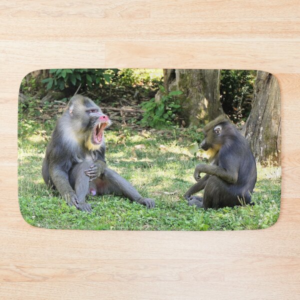 Item preview, vr 3390 / finition 2023  2 - Singes " Les Mandrills " Okaio Créations Olavia-Olao designed and sold by o.okaïo.