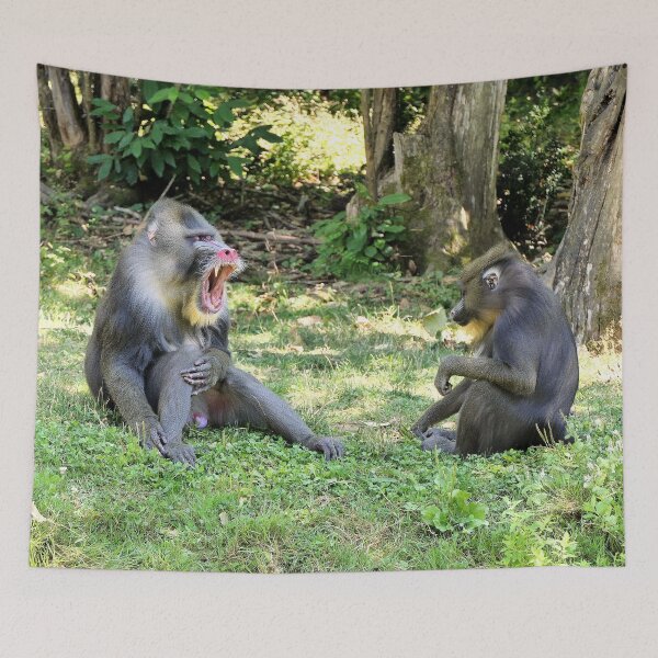 Item preview, vr 3390 / finition 2023  2 - Singes " Les Mandrills " Okaio Créations Olavia-Olao designed and sold by o.okaïo.