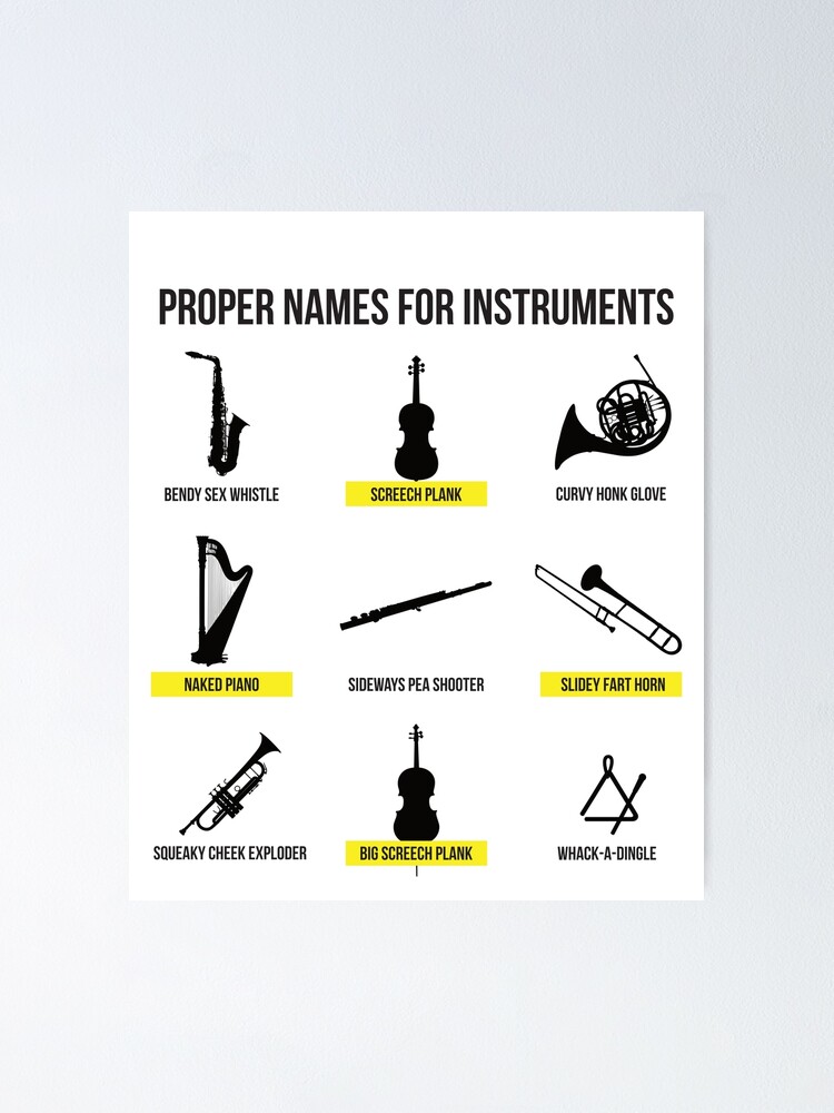 Proper Names for Musical Instruments Funny Musician Gift