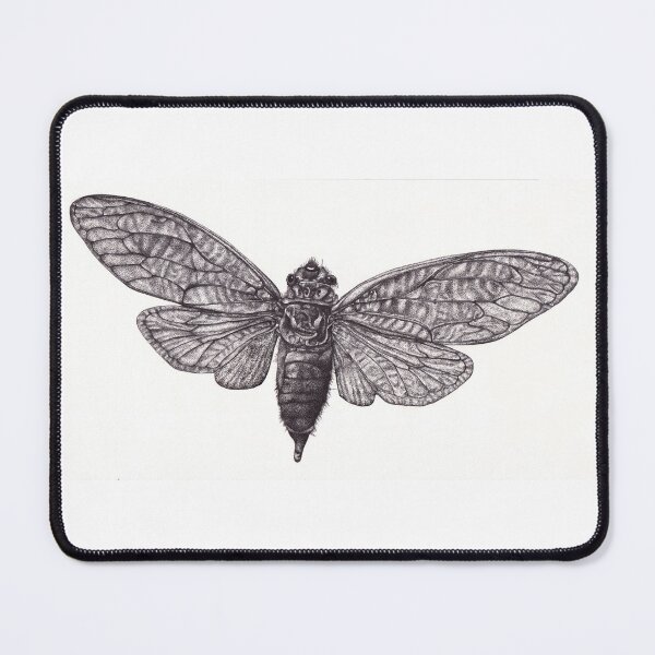 Item preview, Butterfly illustration designed and sold by Millie Oldham.