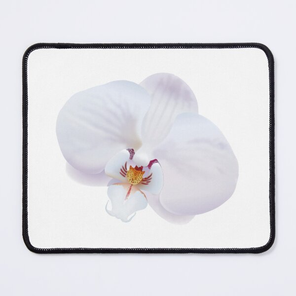 Item preview, White Orchid designed and sold by MadeClose.