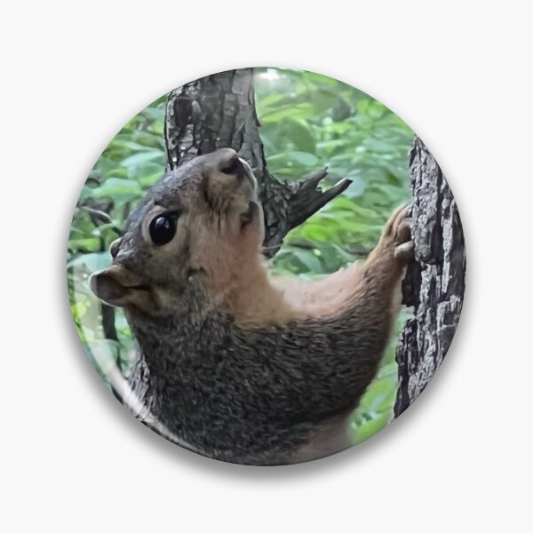 Item preview, Squirrelly Found Friend designed and sold by Artladyjen.