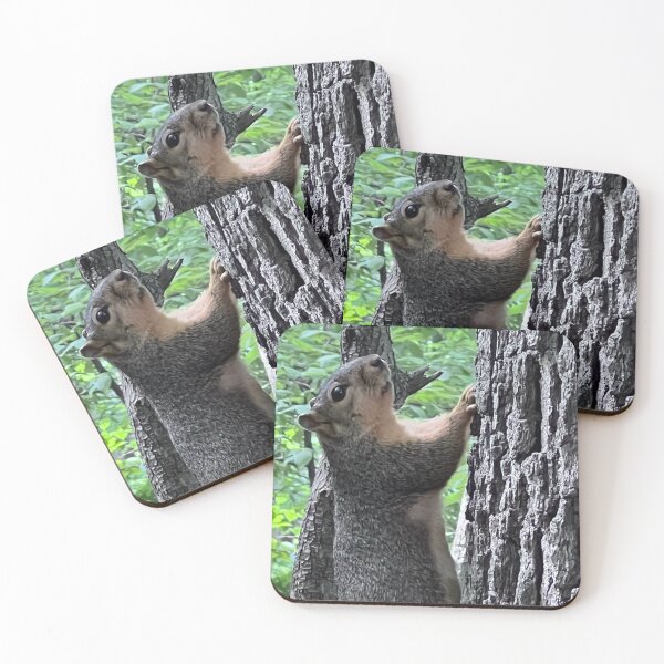 Item preview, Squirrelly Found Friend designed and sold by Artladyjen.