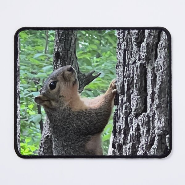 Item preview, Squirrelly Found Friend designed and sold by Artladyjen.