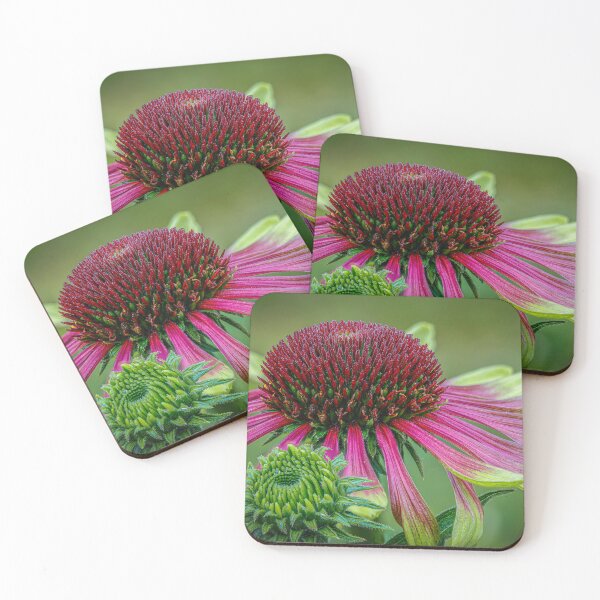 Item preview, Coneflowers designed and sold by Veikko  Suikkanen.