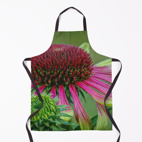 Item preview, Coneflowers designed and sold by Veikko Suikkanen.