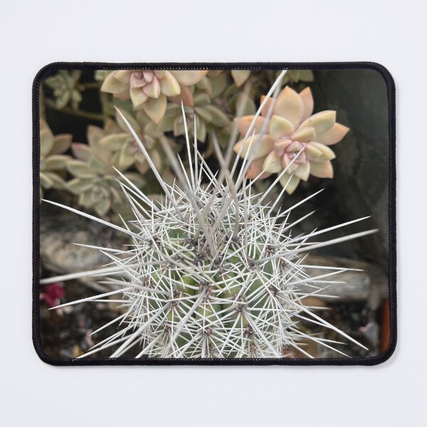 Item preview, Cactus and Succulent designed and sold by Donna Turner.
