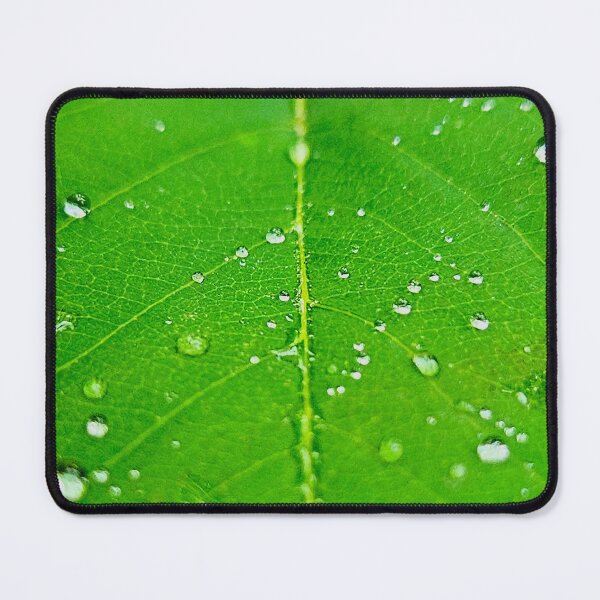 Item preview, Blissful Rain designed and sold by Middy's Art.