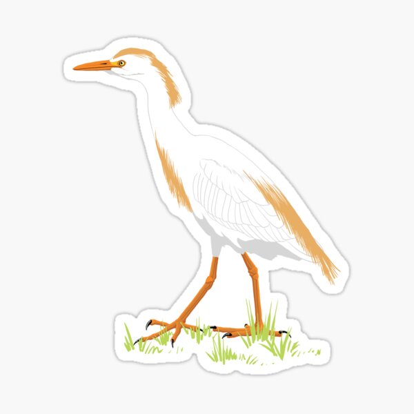 Item preview, Cattle Egret designed and sold by BennuBirdy.