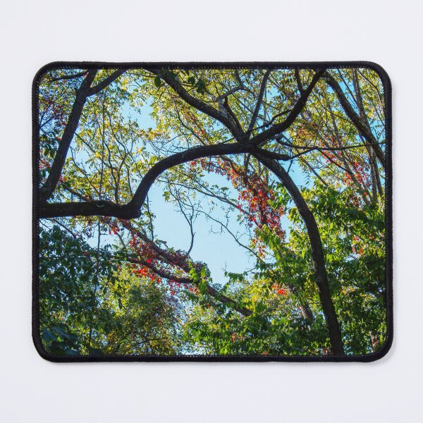 Item preview, Red & Green designed and sold by ZachCaraway.