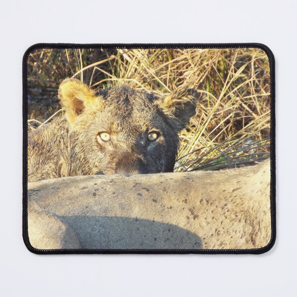 Item preview, Lioness eyes designed and sold by MJPArtworks.