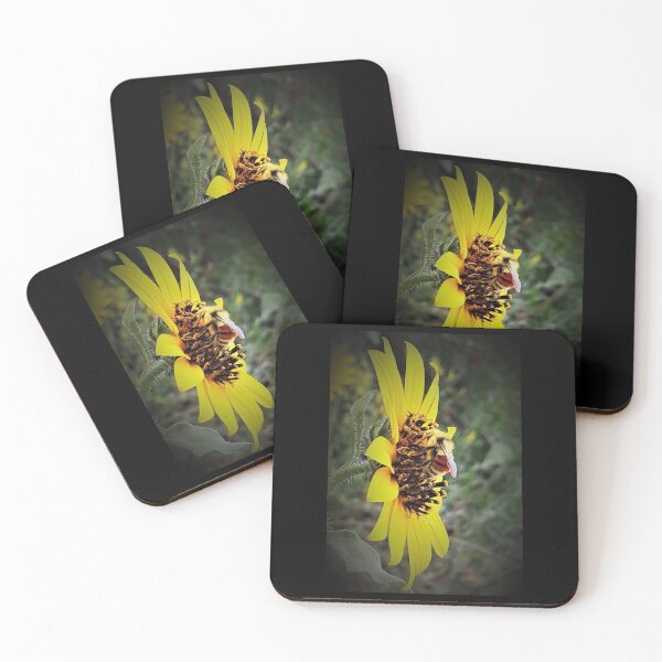 Item preview, Bee Focus designed and sold by craftsbydaphy.