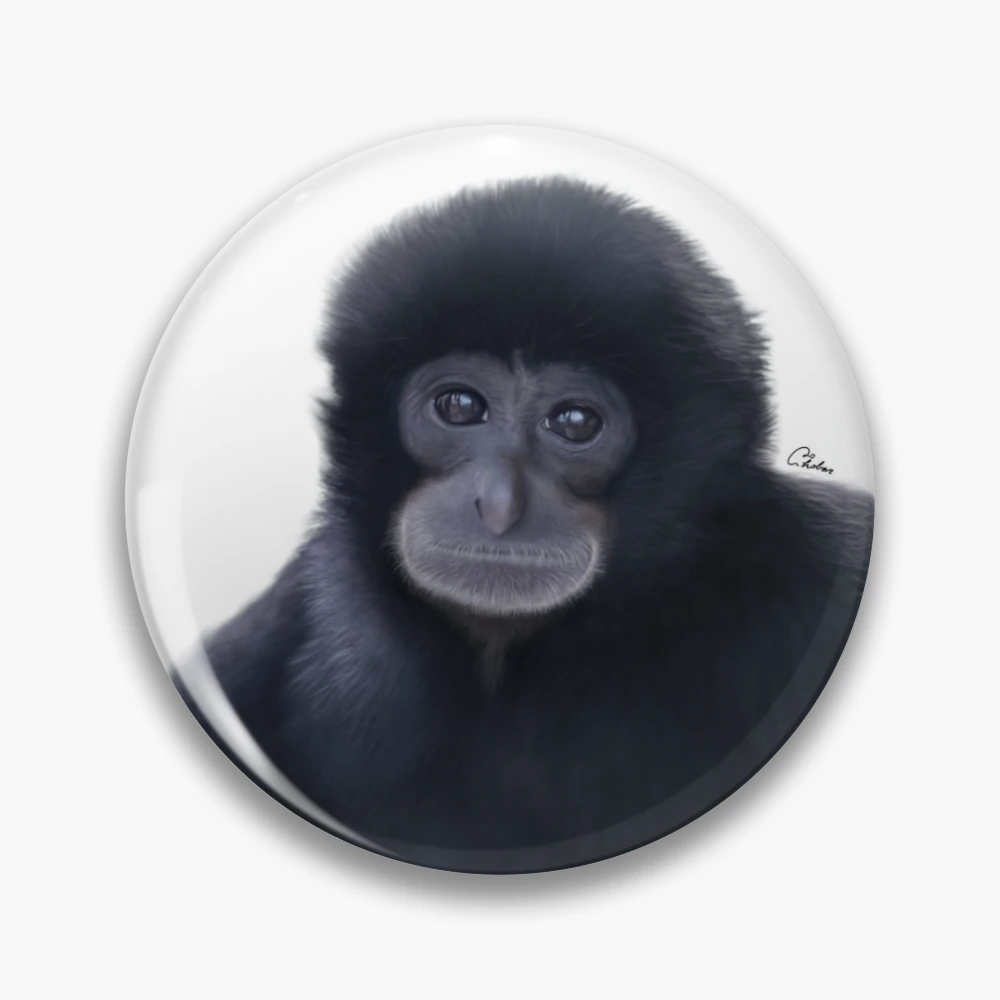 Kazuki