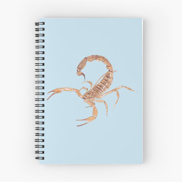 Item preview, YELLOW SCORPION or DEATHSTALKER-Leiurus quinquestriatus designed and sold by BEATRIZ ABAITUA.