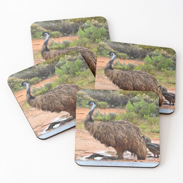 Item preview, Emu and chicks playing in the puddles, Australia designed and sold by FranWest.