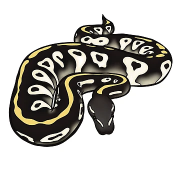 Artwork thumbnail, Ball python by Loverlyskye
