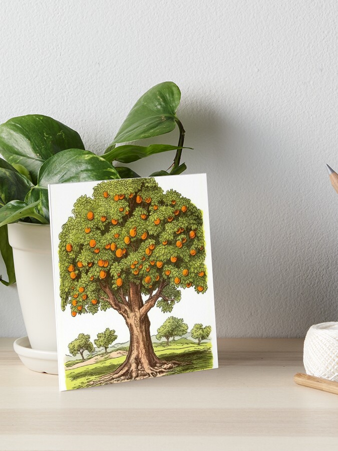 Free Vector | Orange tree sticker on white background