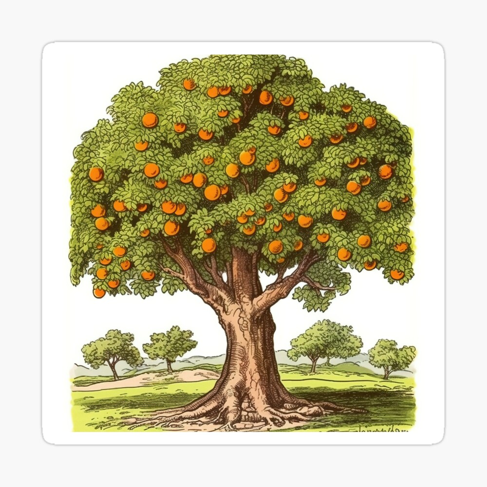 Draw a picture of a big tree with fruit