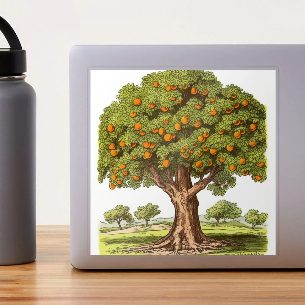 Orange Tree Drawing PNG Transparent Images Free Download | Vector Files |  Pngtree