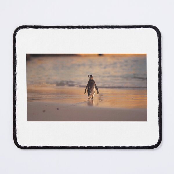 Item preview, Serenity by the Shore - Penguin's Beach Stroll with Trending Music designed and sold by hjian8219.